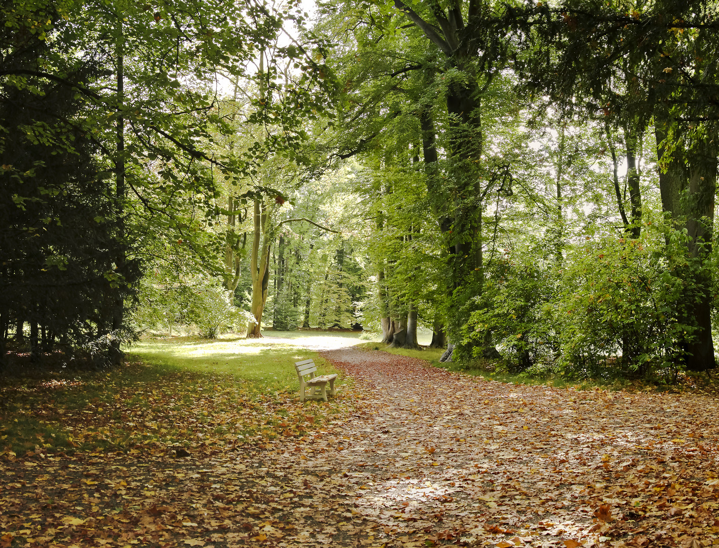 doernberg-park-regensburg-44c80219-f1a0-4e3c-a710-1ddd64177d03.jpg