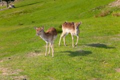 IMG_1501.jpg